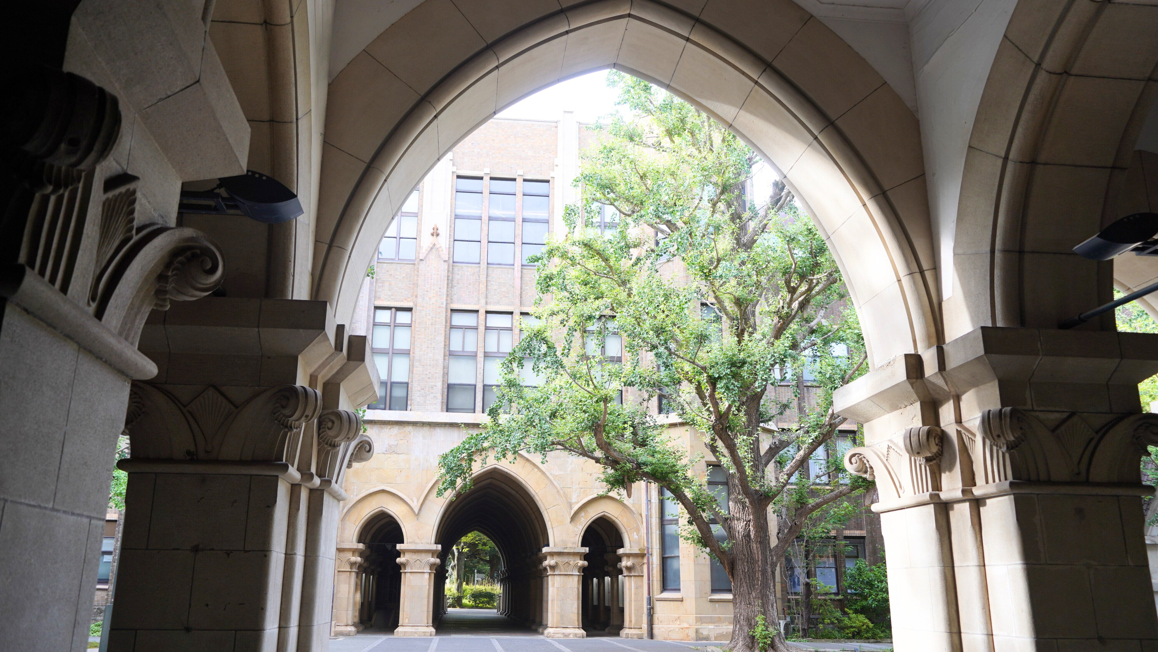 東大IBC メイン画像