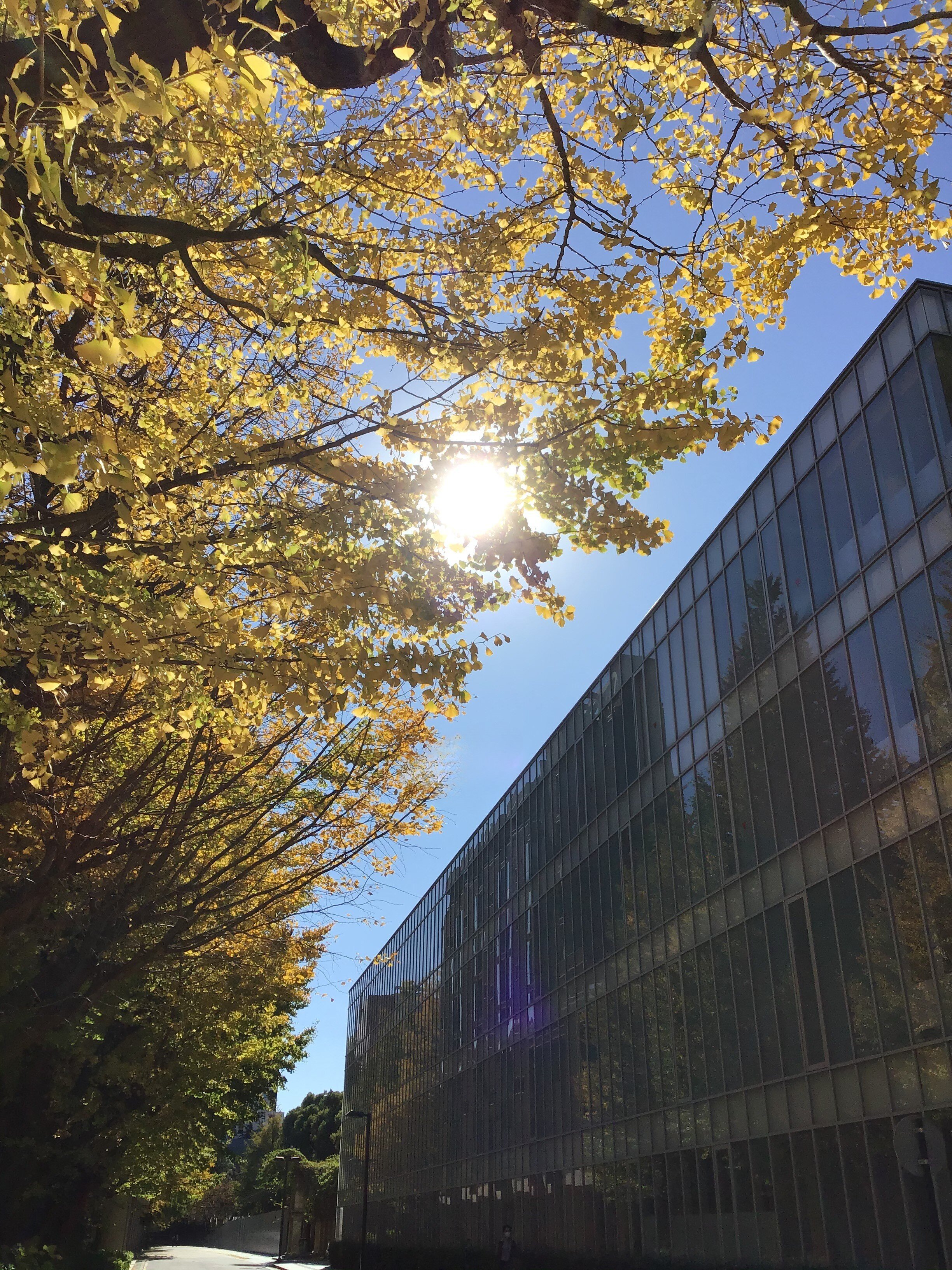 東大IBC メイン画像